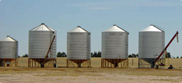 Silos filled with grain on a farm.