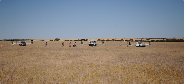 Skeleton weed program searching activities