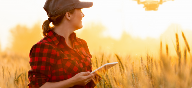 woman_drone_wheat crop