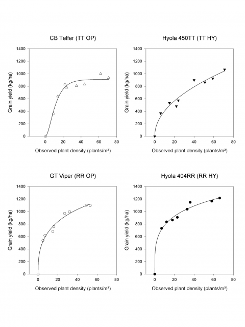 These four graphs show the relationship between observed plant density and grain yield of four canola varieties: CB Telfer, Hyola 450TT, GT Viper and Hyola 404RR.