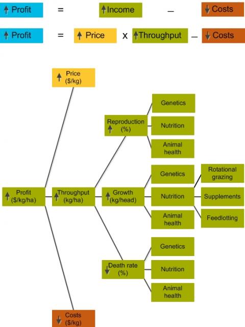 At the top are two equations that show that price, throughput and costs determine profit. At the bottom is a tree diagram that shows other factors, management practices and technologies that impact on profit through increased throughput.