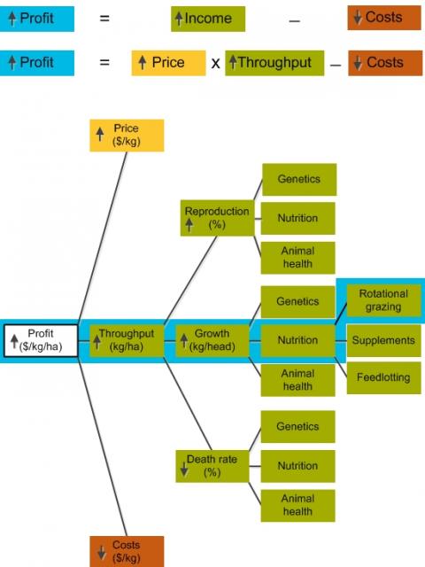 A tree diagram with a path showing how certain management practices and technologies will impact of critical factors relating to profit. A tree diagram with a path showing how certain management practices and technologies will impact of critical factors relating to profit.