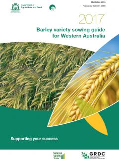 The 2017 Barley variety sowing guide for Western Australia is now available to help growers choose the optimal variety for their cropping system.