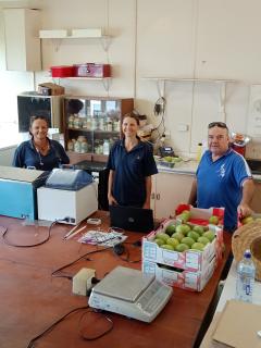 Three people standing in a laboratory with a box of mangoes and equipment. Three people standing in a laboratory with a box of mangoes and equipment.