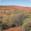 Rangeland landscape