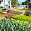 Vegetable Seedlings on farm property