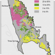 Broad scale map (1:250 000) of the Mullewa to Morawa Agzone showing the distribution of shallow sands over rock. Distribution is scattered from Mullewa to Wubin, with region near Mullewa showing 25–50%, 10–25% and 3–10% shallow sands.