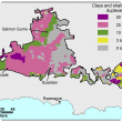 Broadscale map (1:250 000) of the Salmon Gums Agzone showing the distribution of alkaline grey deep sandy duplex. The majority of the region shows clays occupying 3–10% from Cascade to east of Salmon Gums with some areas of 10-25%.