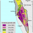 Broadscale map (1:250 000) of the West Midlands Agzone showing the distribution of ironstone gravel soils. Distribution ranges from 25%–100% near Moora, Leeman and Three Springs. North near Dongara and Geraldton, distribution is lower, ranging from 0%–10%