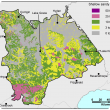 Broad scale map (1:250 000) of the Southern Wheatbelt Agzone showing the distribution of shallow sandy duplexes. There is a scattered distribution of 25–50% near Cranbrook, while Lake King area 10–25% and Fitzgerald region 3–10%.