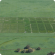 An aerial shot of the National Frost Initiative trial site at Dale, Western Australia