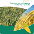 The 2017 Barley variety sowing guide for Western Australia is now available to help growers choose the optimal variety for their cropping system.