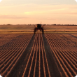 Controlled Traffic Farming with sprayer on permanent tramlines