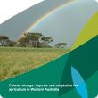 Climate Ready report cover