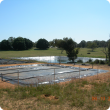 Photograph of covered effluent pond for collecting methane as part of manure management in a piggery