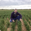 Early season pre-breeding wheat trial