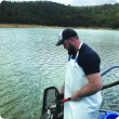 DPIRD technician releasing trout Harvey Dam