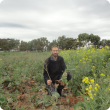 Martin Harries in Aphid trial