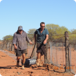 DAFWA staf installing lapwire onto the bottom of the existing State Barrier Fence by pulling a roller with lapwire attached