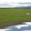 Waterlogging near Kendenup