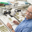 Department taxonomist Andras Szito is on hand to identify insect pests