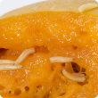 Qfly Larva in mango
