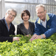 Scientists have cracked the genome sequence of the subterranean (sub) clover. Pictured are (l-r) Department of Agriculture and Food senior pasture breeder Dr Phil Nichols, UWA Molecular Biologist Dr Parwinder Kaur and UWA Centre for Plant Genetics and Bre