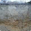 Photograph of a dispersive soil profile in a pit showing the mottled zone below the dense grey clay top layer.