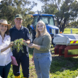 Electric weed control scientists in the field