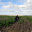 Canola trial at Eradu