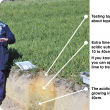 Using universal pH indicator to illustrate changes in soil pH through a profile 