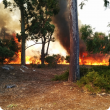 Fire in bushland
