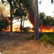 Fire across the road from DAFWA 