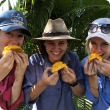 Putting taste buds to the test trying the new mango varieties