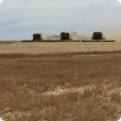 Three headers working up and back in a controlled traffic farming system