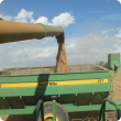 Unloading grain into a chaserbin