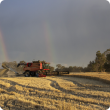 Harvester in wheatfield with rainbows.