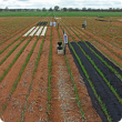 Field experiment soil science and crop nutrition