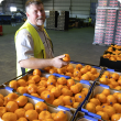 Department of Primary Industries and Regional Development technical officer Kevin Lacey has been recognised for his contribution to the development of the citrus industry with a Service to Industry Award from WA Citrus.