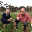 DAFWA officers in trial plot