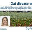 Oat Disease Webinar