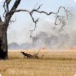 Burning stubble