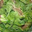 English spinach displayed for sale