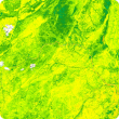 Screen capture of an NDVI image from the PRS application