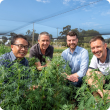 Lupin disease resistance project team