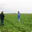 People inspecting raised beds in the paddock