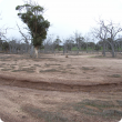 View of typical secondary salinity in northern agricultural areas of Western Australia