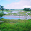 Paddock with excess water, covered by eroded soil