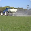 Photograph of spreading lime on pasture