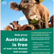 A poster with a picture of a cow and the words help prove australia is free from mad cow disease and scrapie.